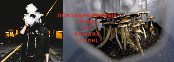 винт Протвино