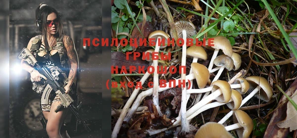 MDMA Михайловск