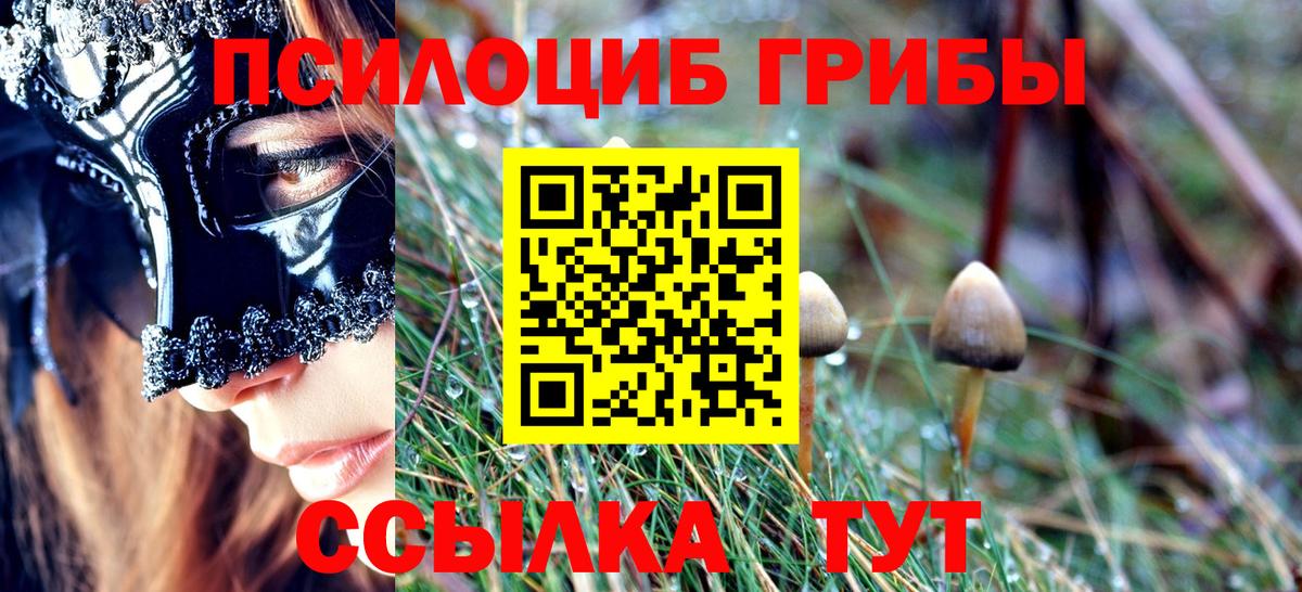 Междуреченск  закладка  Вход с VPN  Псилоцибиновые грибы Magic Shrooms  Псилоцибиновые грибы мухоморы 