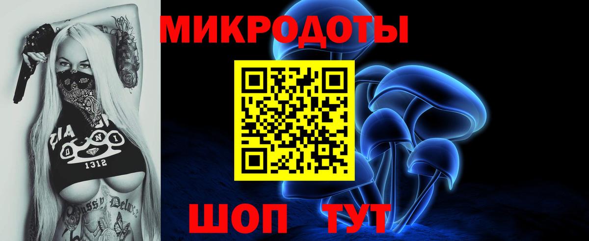 Галлюциногенные грибы Psilocybine cubensis Междуреченск